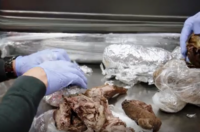 Bushmeat (2)