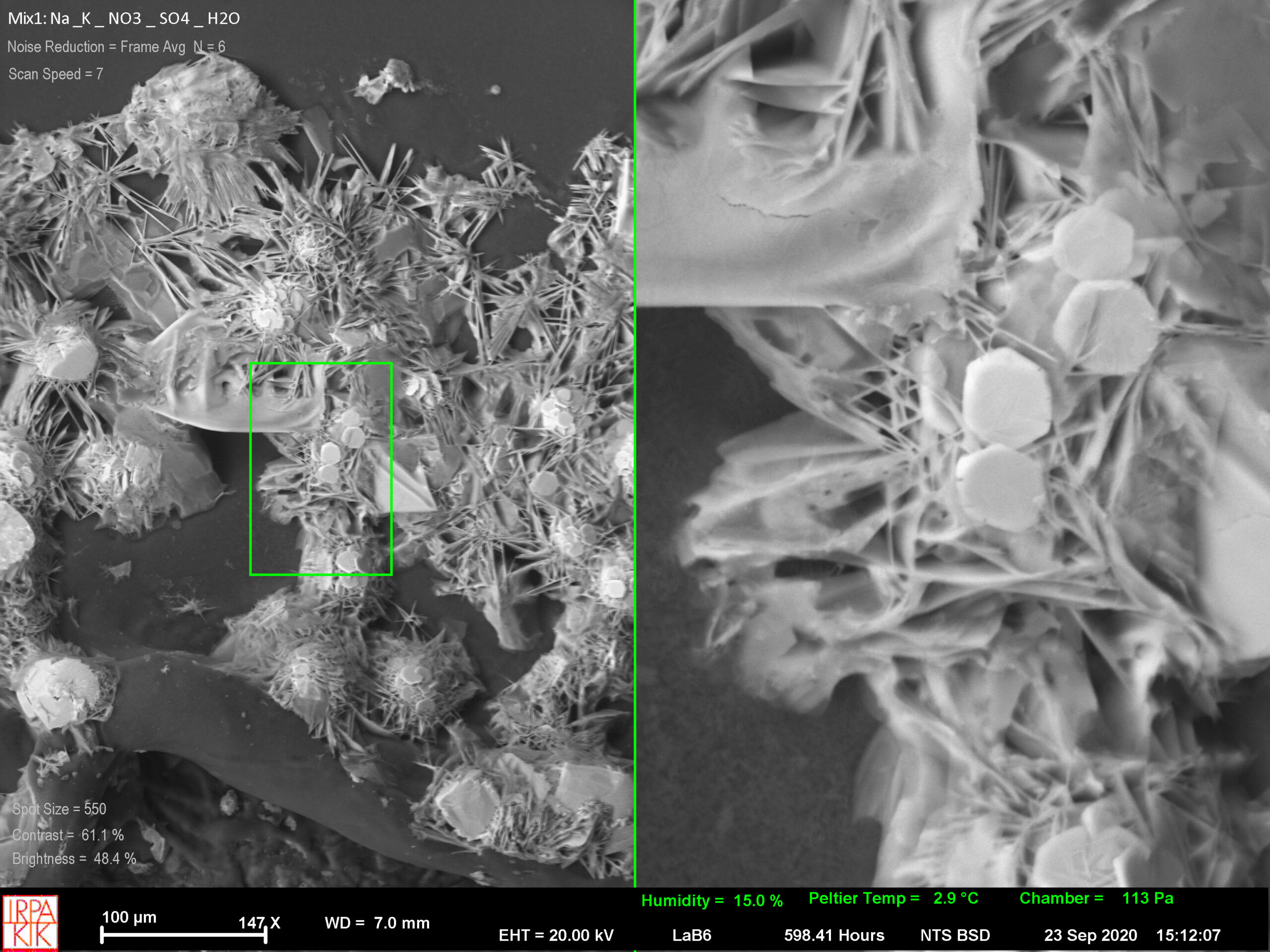 ESEM image (Zeiss) of a crystallized salt mixture (15% RH and 3°C) containing equimolar amounts of Na+ , K+ , NO3- and SO42-