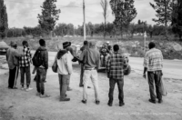 irregular migrants farm workers italy